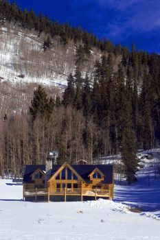 The affluent lifestyle shows in this mansion log cabin in Colorado