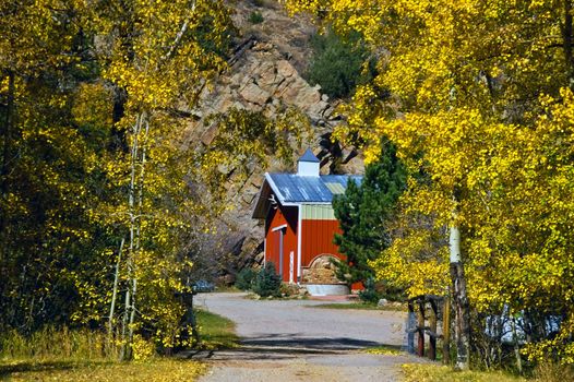 A red country barn in Colorado amongst Golden Autumn trees