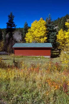 A red country barn in Colorado amongst changing autumn trees