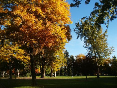 A city park in Denver, Colorado duting Autumn season with changing colors