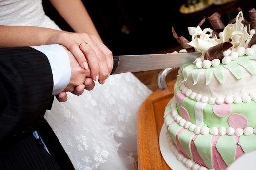 hands of bride and groom cut of a slice of a wedding cake
