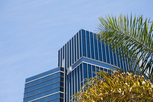 view to the sky and skyscrapers of the city