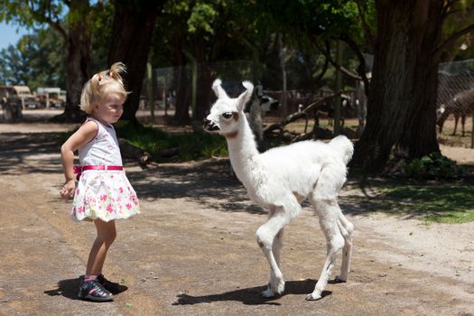 two children - lama and girl