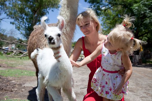 lama child and mom and girl with her mom