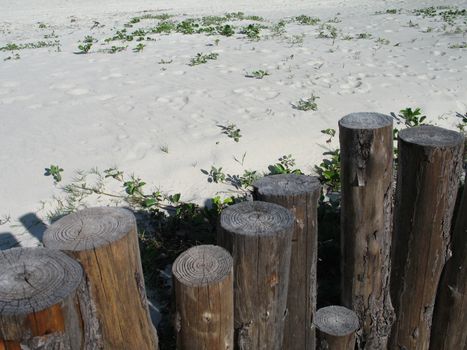 sandy beach and fence