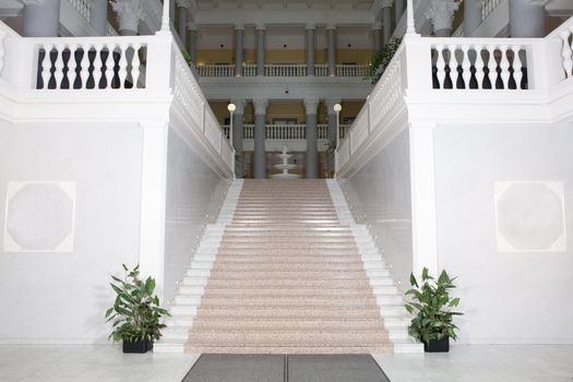 high beautiful Stairs to the hall