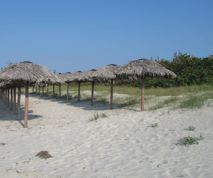 umbrellas on the beach