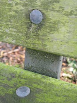 bench close-up
