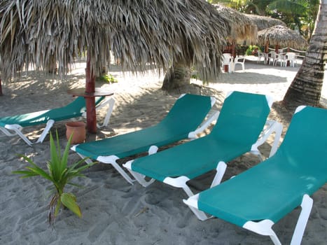 tanning chairs on the beach