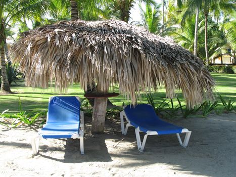 tanning chairs on the beach