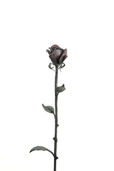 black iron flower isolated over white