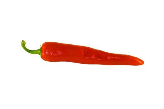 red hot chili pepper isolated over white