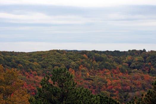 A mountain hill side with the foliage changing colors for the fall