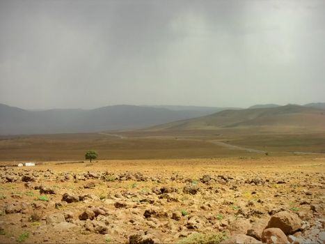 A tree in the middle of a Sun and rain in a desert