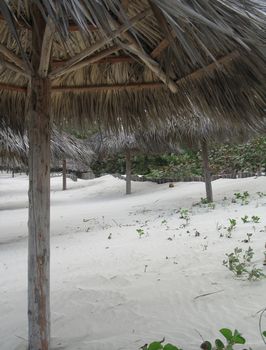 under a palapa