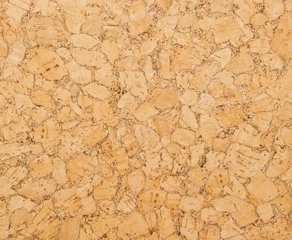 cork board background texture for your design. 