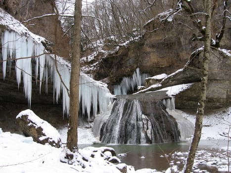 icicles; landscape; inside; waterscape; wildlife