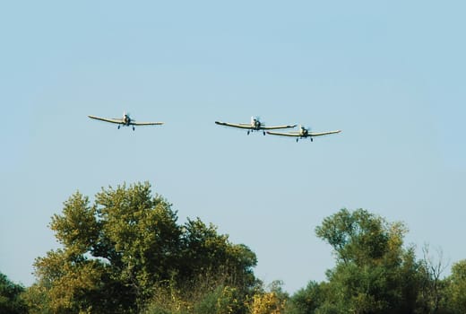 three sport planes in blue sky over trees