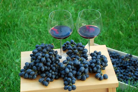 two wine glasses and grapes over green grass outdoor