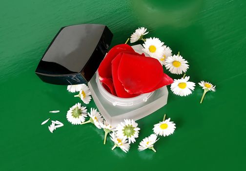white cream round box with flower plant details