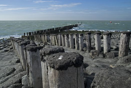 Beach with wooden poles on a beach in Zeeland,Netherlands