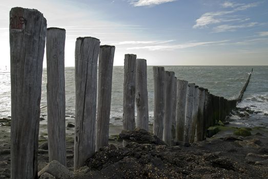 Beach with wooden poles on a beach in Zeeland,Netherlands