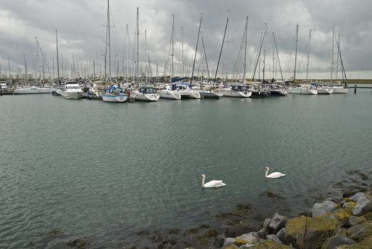 Harbor with yachts and sailboats in the Netherlands