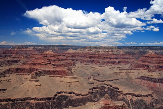 Grand Canyon national park in summer.