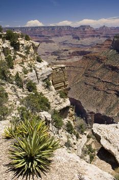 Grand Canyon national park in USA.