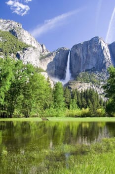 Yosemite national park. California. USA 