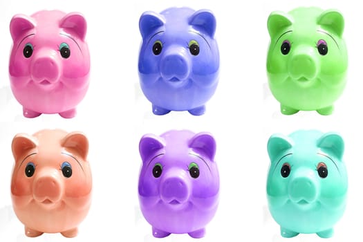 six pigs piggy bank