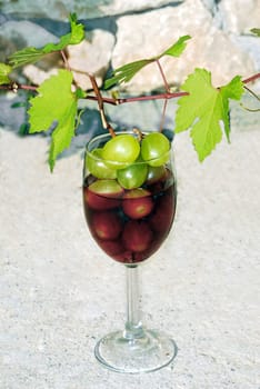 green young vine shoot with red wine glass over stone fence