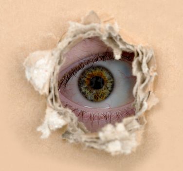 Eye to look from hole in carton 