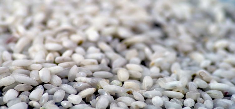 Close up of a plate full of white rice 