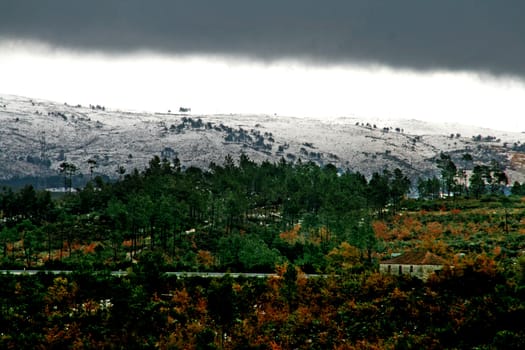 cold winter landscape with snow