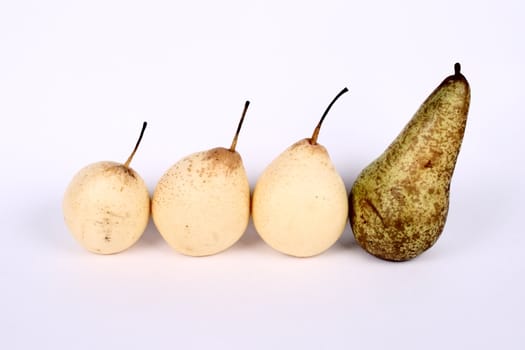 row of yellow pears and the big one at the head