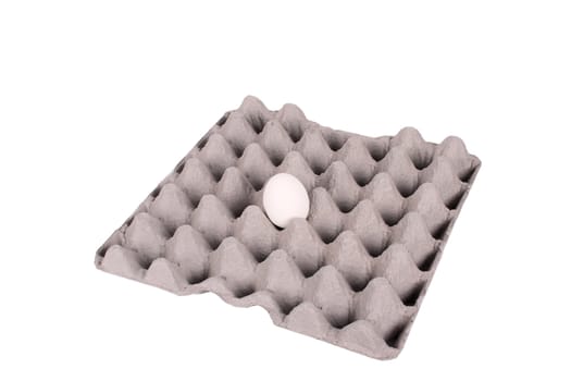 case for eggs with one isolated over white