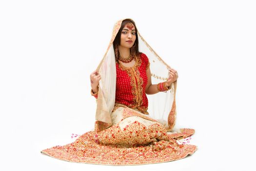 beautiful harem girl or belly dancer or Hindu bride sitting, isolated