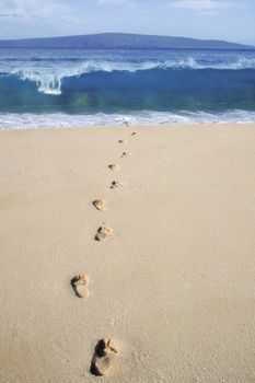 Footprints on beach leading to ocean