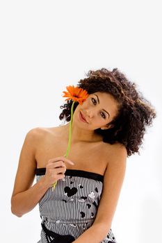 Beautiful young woman with brown curly wild hair and orange flower in hand, isolated