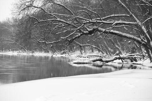 A cold, winter river flowing through a forest.