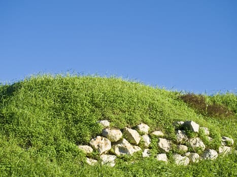 Green grass in the Med and rubble wall