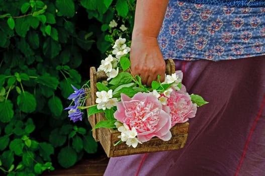 A woman carrying a basket of flowers in a garden