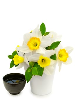 narcissus bouquet and black bowl over white background 