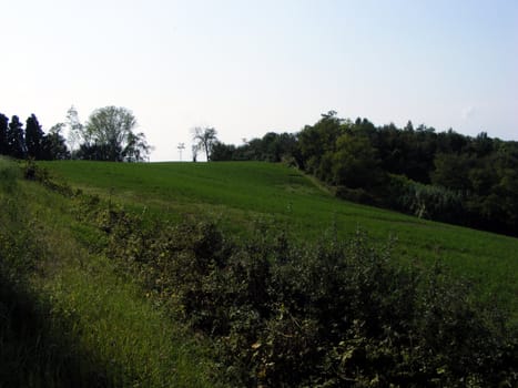 Landscape of hills and fields