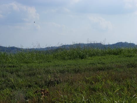 Landscape of hills and fields