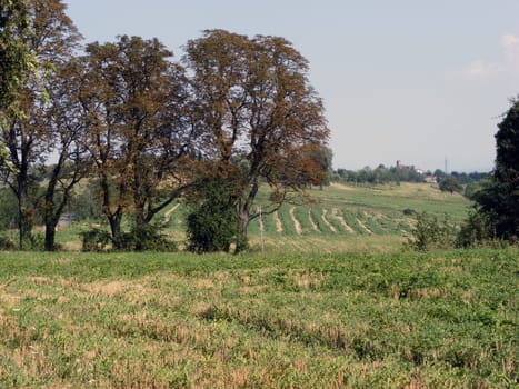 Landscape of hills and fields