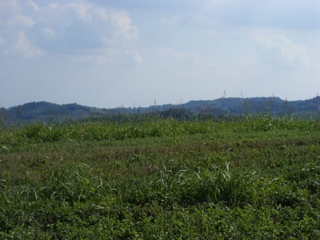 Landscape of hills and fields