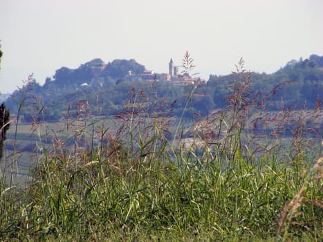 Landscape of hills and fields