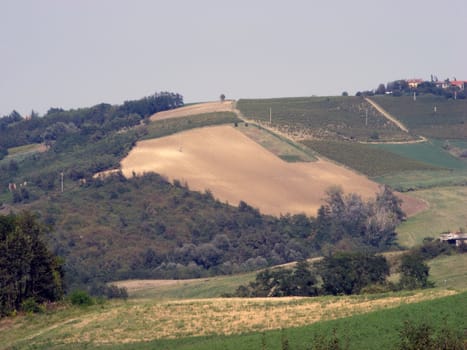 Landscape of hills and fields